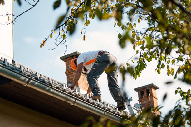 Best Metal Roofing Contractor  in Martinsburg, WV