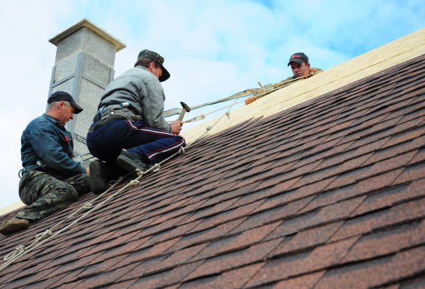 Quick and Trustworthy Emergency Roof Repair Services in Martinsburg, WV